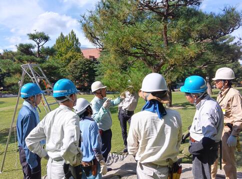 庭木剪定講習が県内各地で開催されました